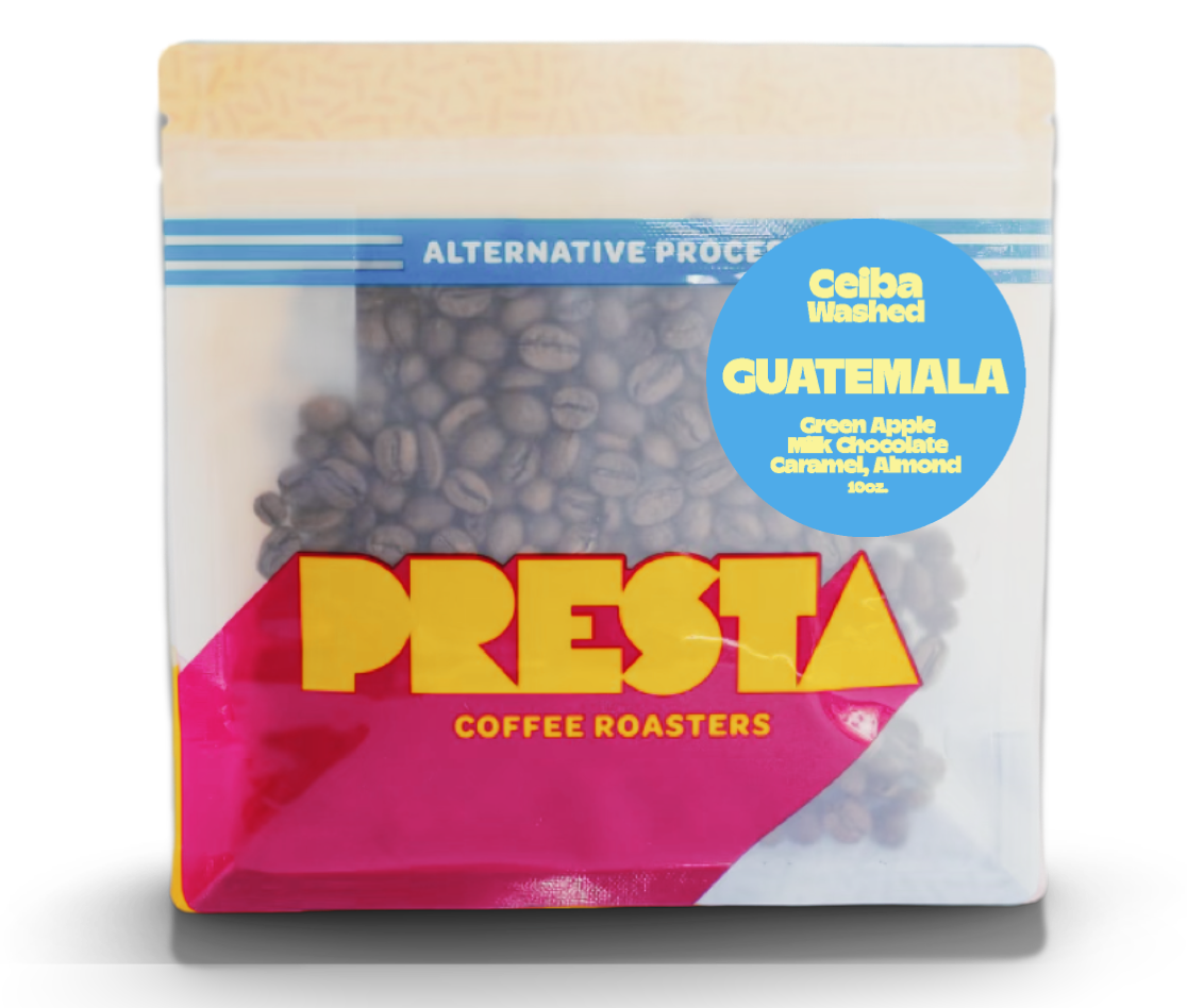 Guatemala Ceiba Washed